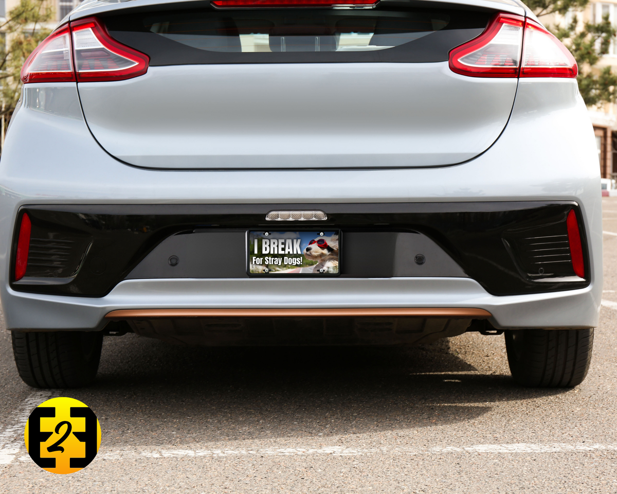 I Break For Stray Dogs - Decorative License Plate