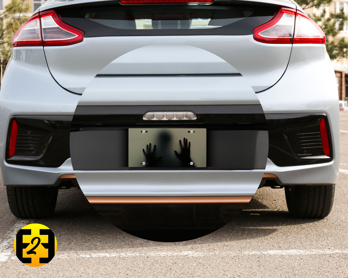Ghost in the Machine - Decorative License Plate